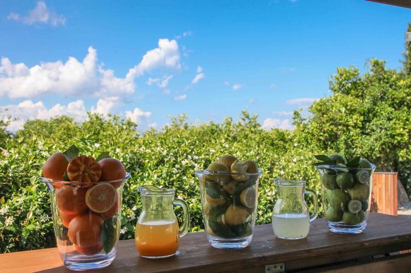 Agriturismo Galea Riposto Eksteriør bilde
